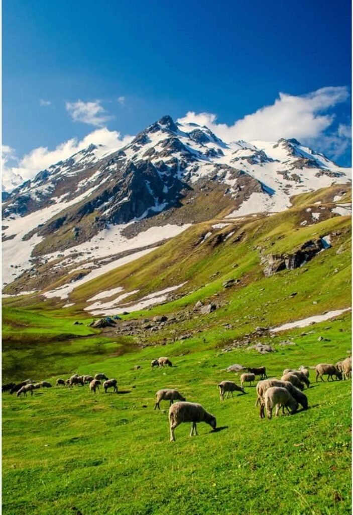 Sar Pass Trek
