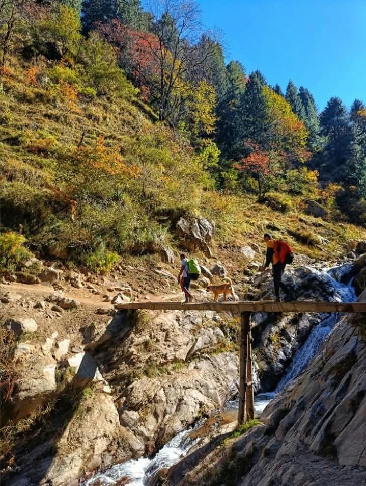 Kheerganga Trek
