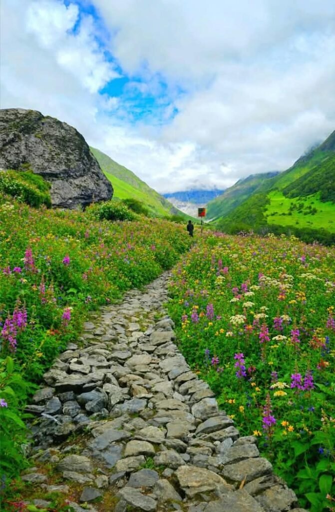 Valley of Flowers Trek